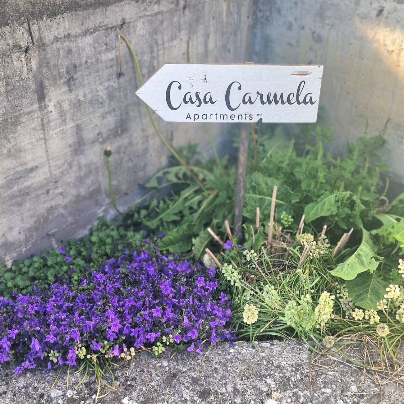 Casa Carmela sign External